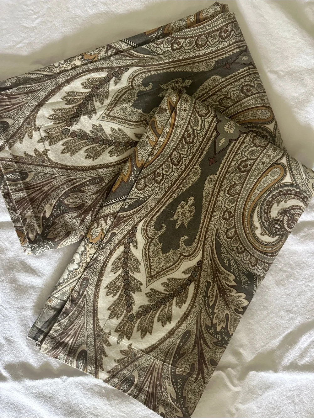 Pottery Barn Anton Paisley medallion  Pillow Shams in Cream, Brown, Olive 2